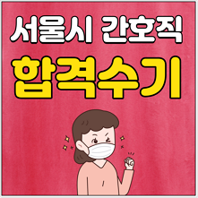 서울시간호직공무원 합격수기